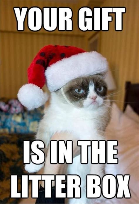 Your T Is In The Litter Box Merry Christmas Grumpy Cat Quotes