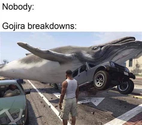 Since This Subreddit Is Back Up We Need Some More Whales Rgojira