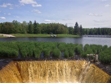 Hayes Lake State Park — Hiking Minnesota