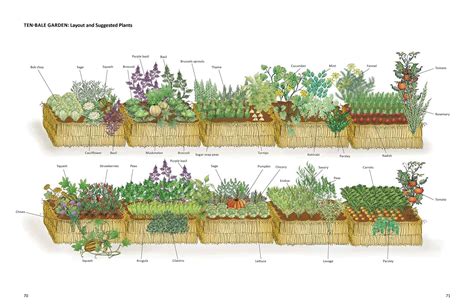 Straw Bale Gardening Method Thuem Garden Plant