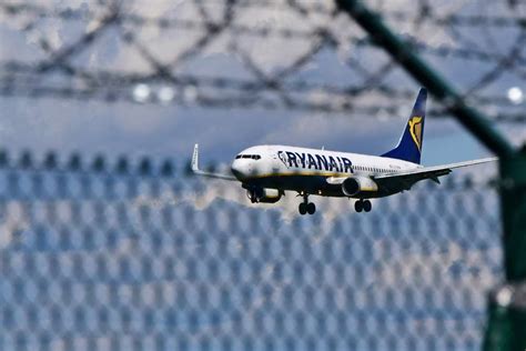 Fgv's top competitors are gar, sdp and socfin. Ryanair share price jumps as H1 results see airline buck ...