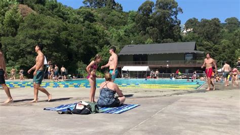 Swimmers React To “fecal Contamination” Announcement At Berkeley Pool Swimmers Daily