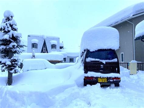 So Much Snow Nozawa Nozawa Holidays