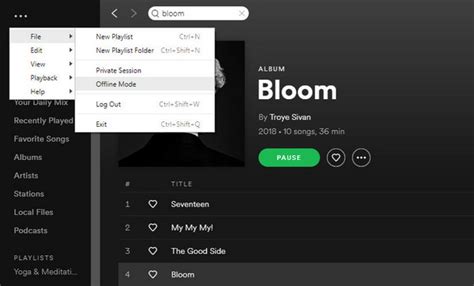 They are faster and more reliable. How to Play Music on Spotify Without Any Internet Connection