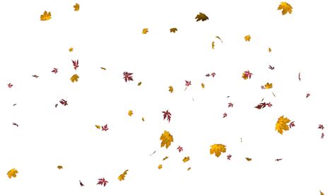 Download Falling Leaves Png Images Flying Autumn Leaf Png Free