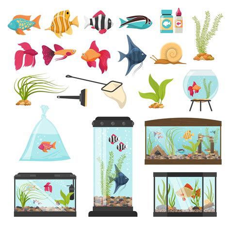 Aquarium Essential Elements Collection Download Free Vectors Clipart