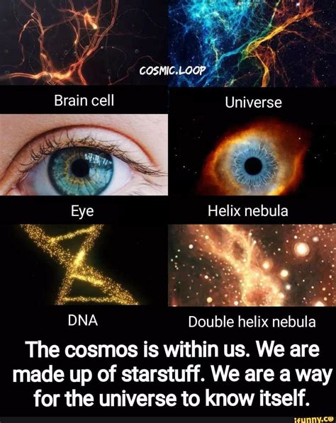 COSPIC LGOP Brain Cell Universe Eye Helix Nebula On DNA Double Helix