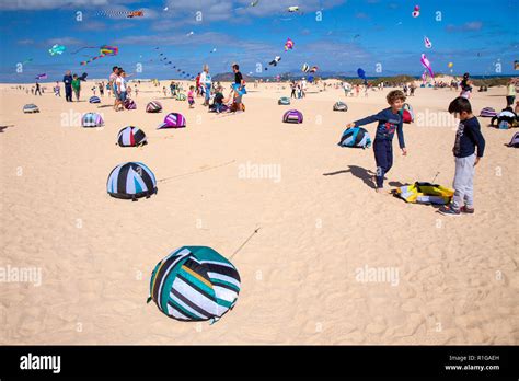 Fuerteventura España 10 De Noviembre Los Visitantes Disfrutan De Una Hermosa Exhibición De