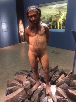 Naked Neanderthals Millionyears Of Life In Britain At The Natural History Museum London