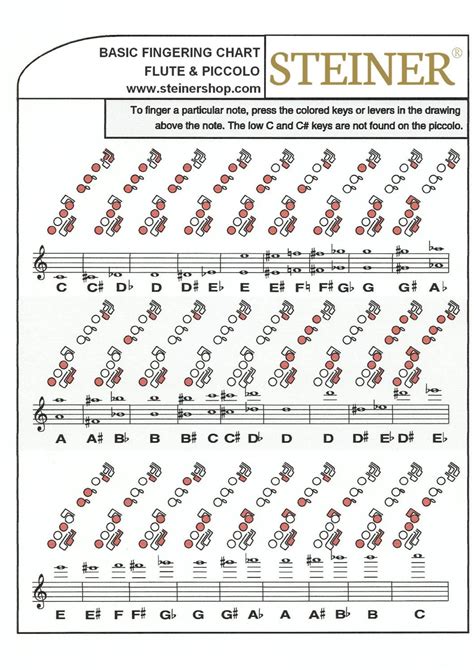 11 piccolo fingering chart opaltammas