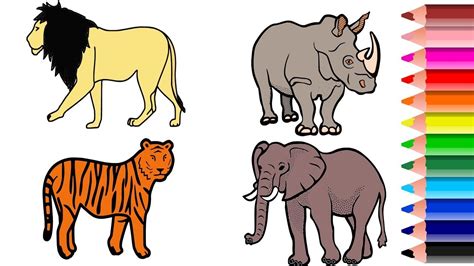 Wild Animal Coloring Pages Names And Colors Drawing And Coloring