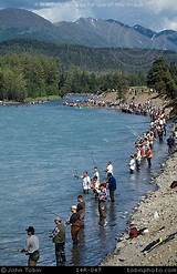 Juneau Alaska Fishing Charters Pictures