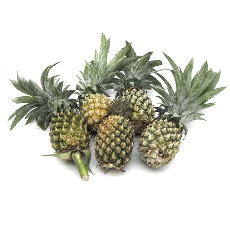 Phulae Pineapple Order Ingredients Online Freshket