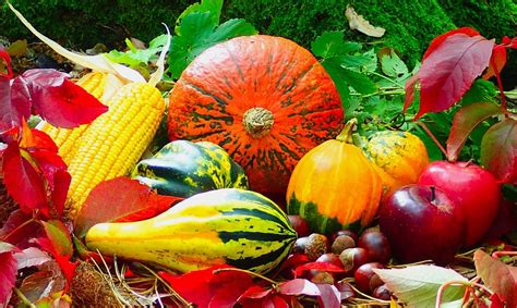 Hd Wallpaper Lot Of Assorted Fruits And Vegetables Autumn Harvest