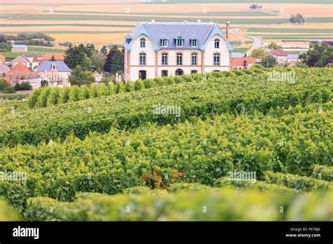 Vineyards Sacy Reims Marne Grand Est France Stock Photo Alamy