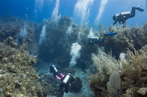 The Complete Guide To Scuba Diving Nassau Bahamas And The Exuma Sound