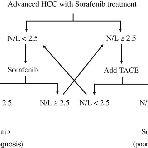 The Treatment Strategy Scheme For Advanced Stage Hcc Download