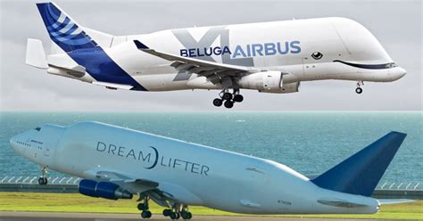 Meet The Boeing Dreamlifter And The Airbus Beluga Flytrippers
