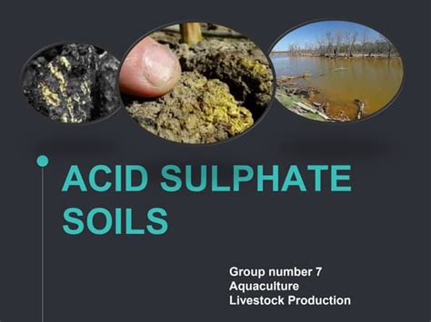 Acid Sulphate Soils Formation And Management In Aquaculture Ppt