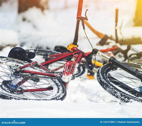 Mountain Bike Lies On A Snowy Forest Stock Image Image Of Danger