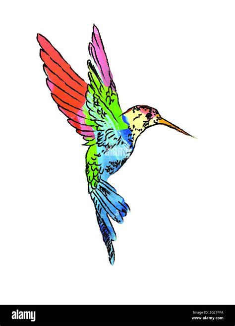 Hummingbird Rainbow Wing Hi Res Stock Photography And Images Alamy