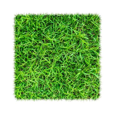Green Grass Turf Floor Texture Stock Illustrations 685 Green Grass Turf Floor Texture Stock