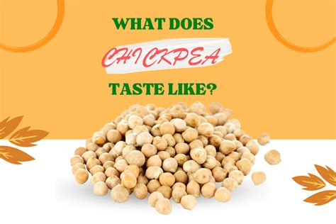 discover the unique flavor of chickpeas what do chickpeas really taste like seasonal and savory