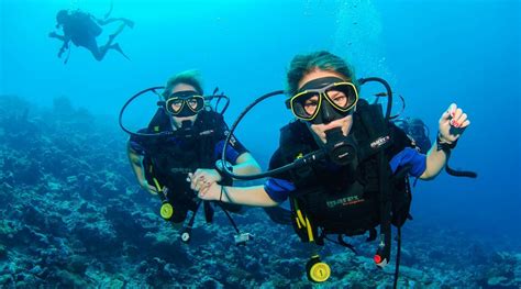 Reach The Oceans Depths Safely With The Right Diving Gear Lifestylemanor
