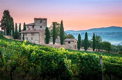 The 7 Best Italy Bike Tours Through Wine Country