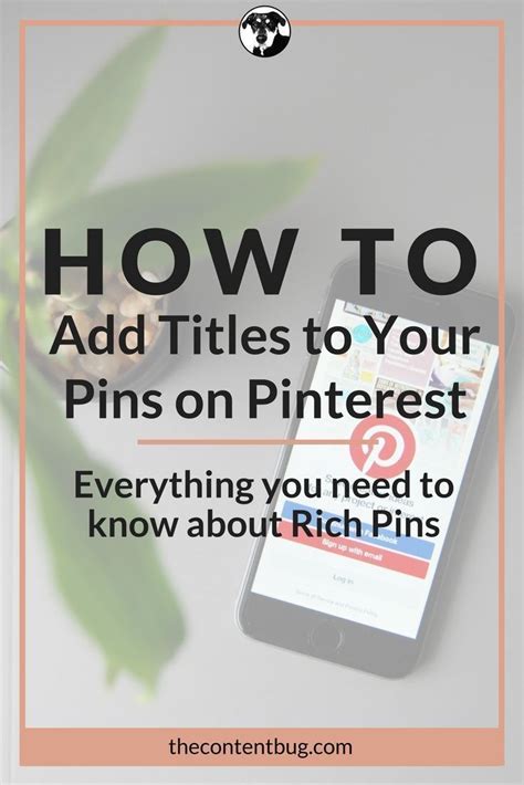 How To Add Titles To Your Pins On Pinterest Everything You Need To Know About Rich Pins The