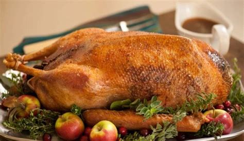 Ma la pancia ripiena al forno, con 4 patate di contorno, sicuramente non è da meno davvero eccezionale. Ricetta Oca ripiena - Le Ricette di Buonissimo