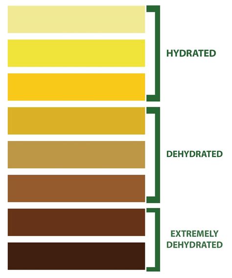 Printable Urine Hydration Chart Printable World Holiday