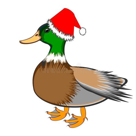 A Christmas Duck Isolated On A White Background Stock Vector