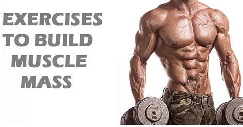 Fitnex Pro 5 Exercises To Build Muscle Mass Fast