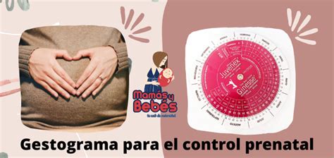 Gestograma para el control prenatal Mamás y Bebés Prenatal Educación para la salud