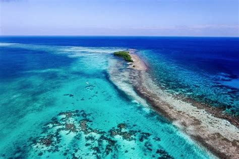 Diving Guide For The Remarkable Belize Barrier Reef Yacht Vacations