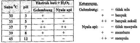 Berikut Ini Adalah Data Percobaan Pengaruh Suhu Terhadap Enzim Katalase