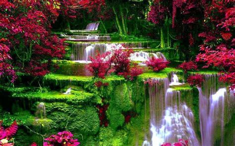 Garden Waterfall Garden Waterfalls And Ponds Pinterest