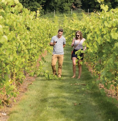 Minnesota Wineries And Vineyards Fall Wine Tours Visit Minnesota