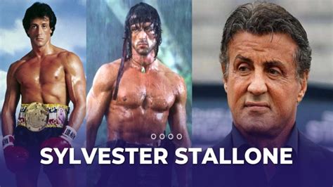 What Is Sylvester Stallones Net Worth Income Age Wiki Career Bio