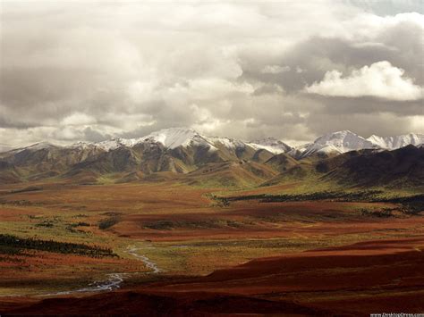 Desktop Wallpapers Natural Backgrounds Fall Tundra Denali National