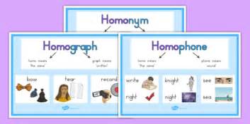 Homograph And Homophone Explanation Display Posters Australia