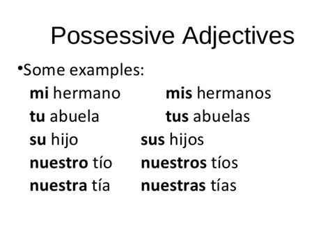 Spanish Possesive Adjectives