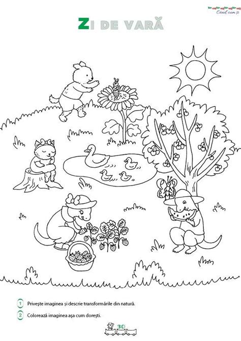 Planse De Colorat Pentru Copii 6 Ani Gratuit Pentru A Imprima