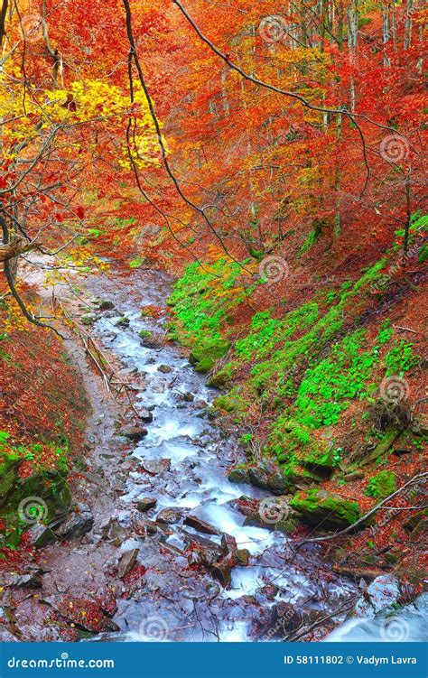 Rapid Mountain River In Autumn Stock Photo Image Of Autumn Bush