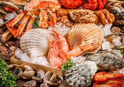 The 7 Healthiest Seafood Items You Need In Your Diet Americans Are Eating More Different Types