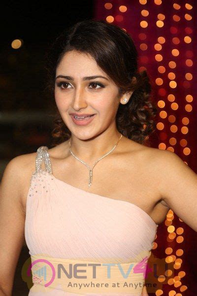Actress Sayesha Saigal Hot And Sexy Pics 487262 Galleries And Hd Images