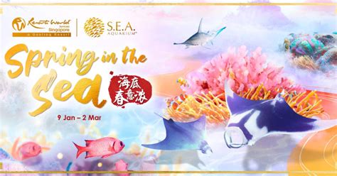 Book Sea Aquarium Sentosa Singapore Ticket Online Klook Australia
