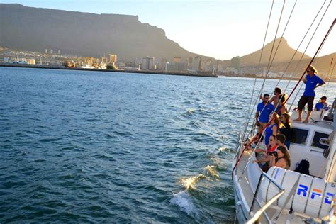 Cape Town Pre Sunset Champagne Cruise In Cape Town