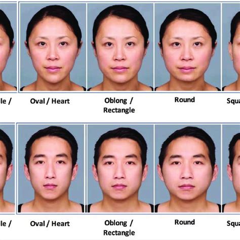 Common Face Shape Categories Download Scientific Diagram